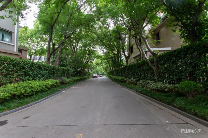 棕榈泉花园 中间楼层 满五 精装好房 朝南 低容积