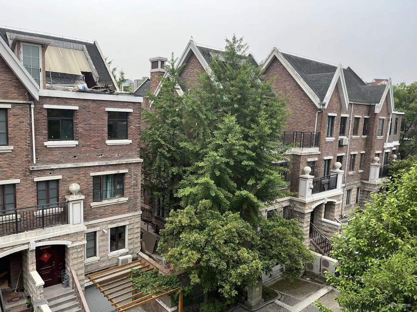 玫瑰绅城花园别墅