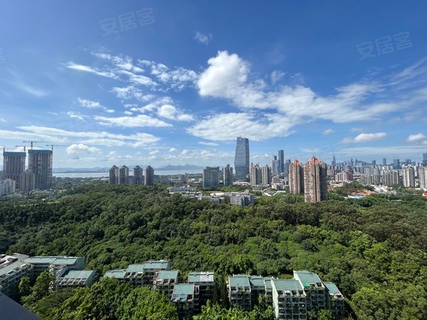 深圳南山华侨城新天鹅堡(三期)华侨城 天鹅湖花园三期 高层海景3房 全