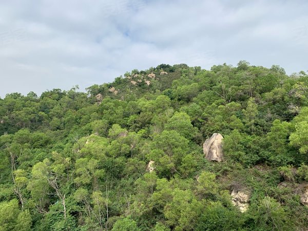 靠山面海 近度假村出租房源真实图片