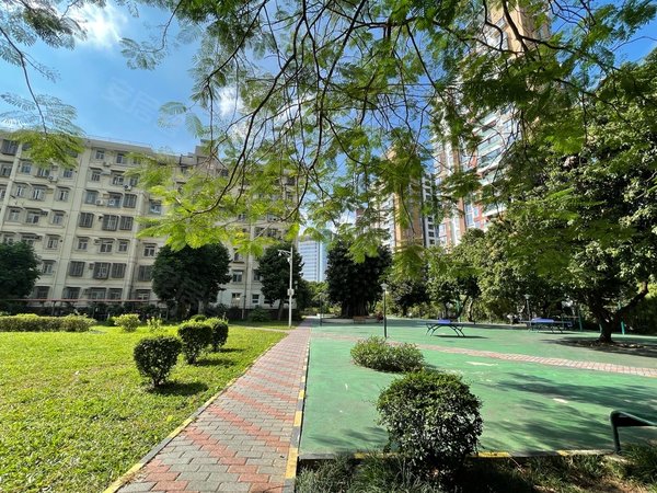 深圳南山蛇口翠竹园翠竹园 4房 南北通透 新出房源 空房出租 可稳定长