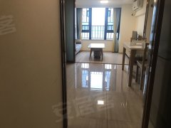 广州荔湾广钢新城简单温馨 公寓也可以是安全的港湾 中海花湾壹号 拎包入住出租房源真实图片
