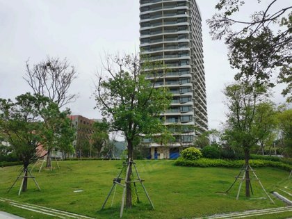 龙光御海湾,海滨路 - 阳江龙光御海湾二手房,租房,房价-阳江安居客