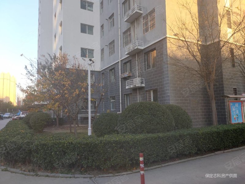 恬静园3室2厅2卫135㎡南北120万