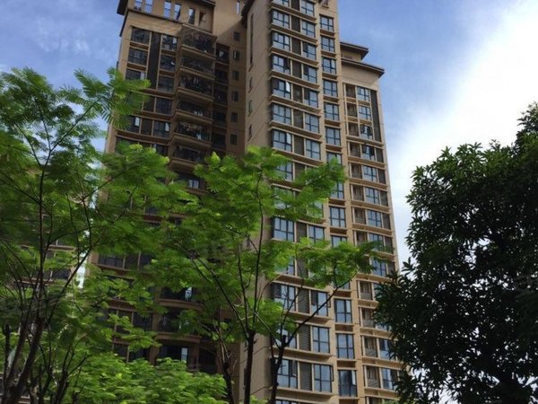 深圳坪山坑梓深业东城御园深业御园比亚迪百泰附近,交通便利租金便宜