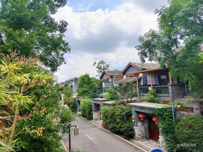 青城山下,叠拼别墅,精装带家具家电,带入户花园.