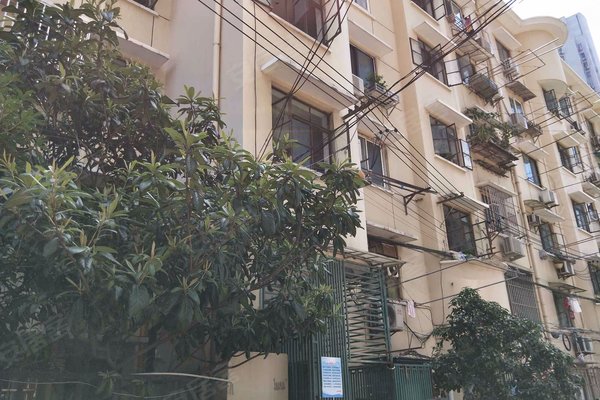 不足,南园新村怎么样,南园新村周边房产中介经纪人评价-上海安居客