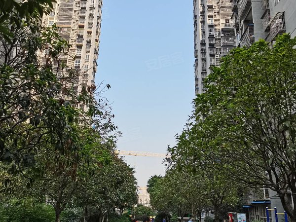 重庆渝北空港新城新都花园1000租电梯小两房地铁站旁免物管费家具家电