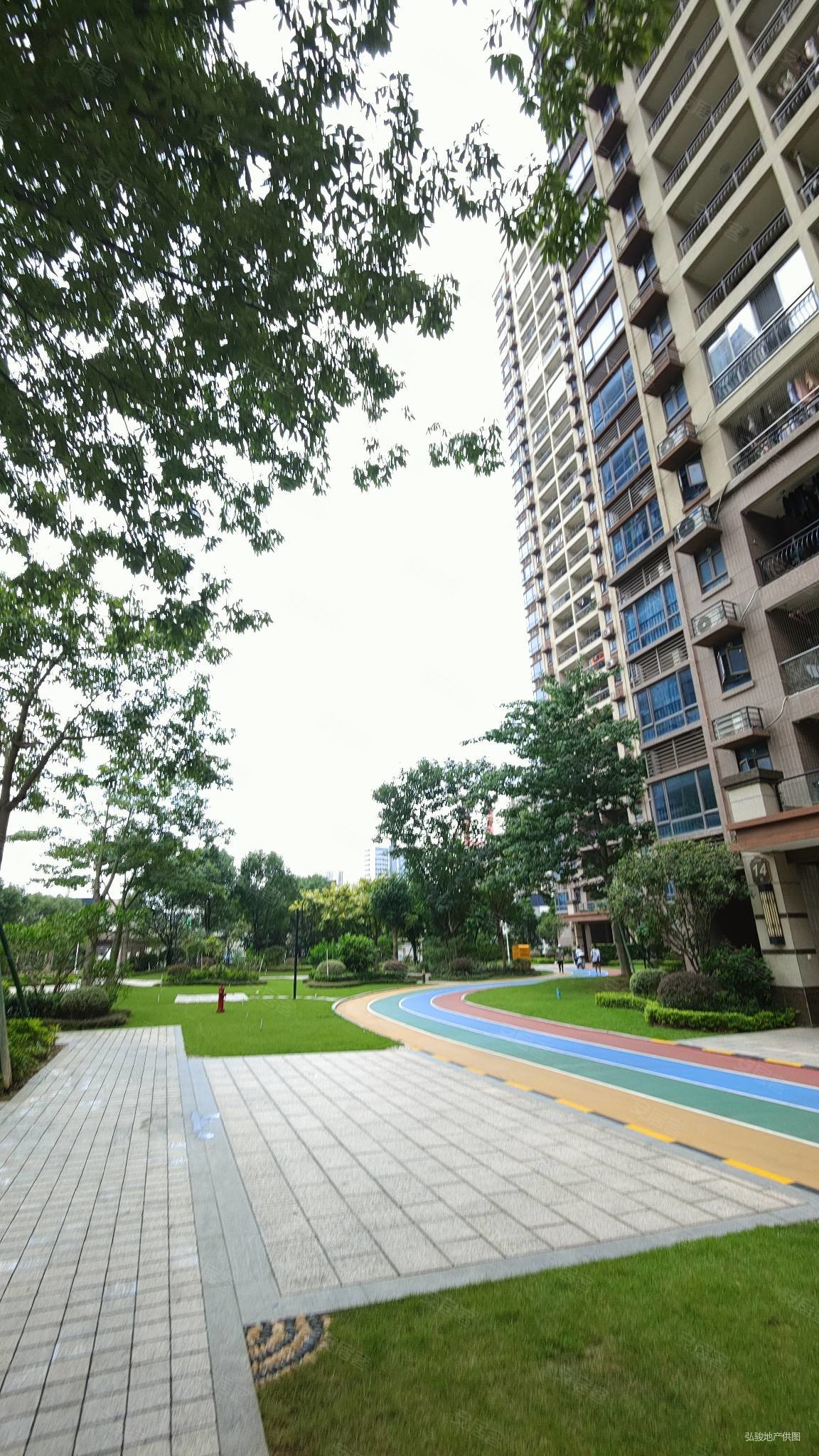 碧桂园凤凰湾听涛苑性价比至高4房业主承担税费价格可谈