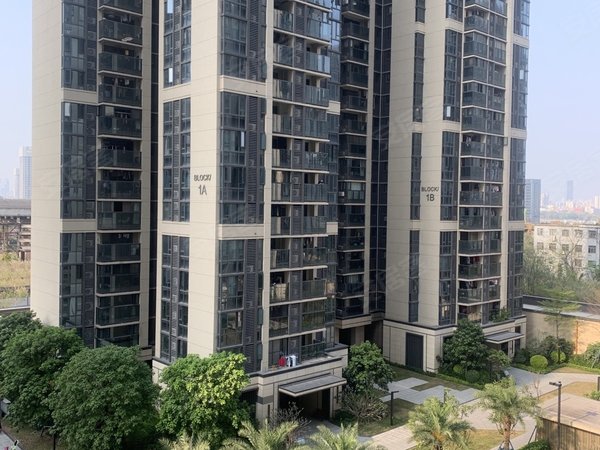 广州荔湾广钢新城保利碧桂园公园大道保利海郡花园 南北通透 中层望