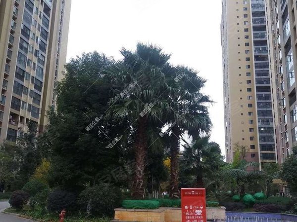 昆明西山滇池路片区金坤尚城长乐里万达旁精装三居室配家具家电拎包