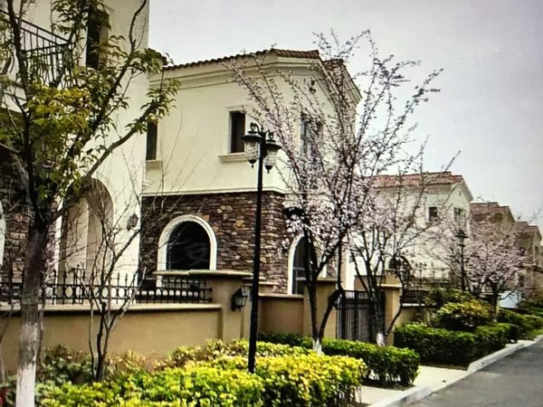 青岛胶州少海中置少海湾少海湾独栋别墅出租,毛坯出租房源真实图片