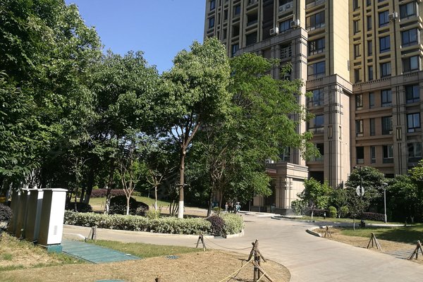 青枫颐景花园