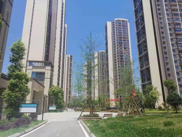 简阳丛树家园整租,大套二,大阳台,家具家电全齐,拎包入住出租房源真实