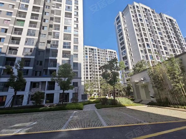 大东海中央府独门独户60精装两房一厅出租房源真实图片