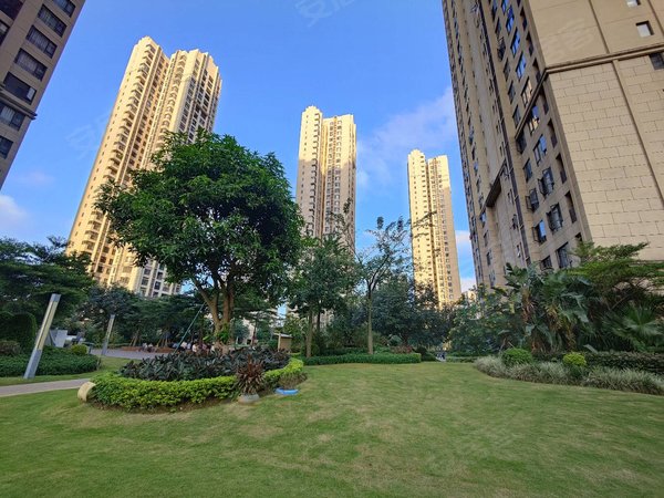 珠海金湾三灶万科城市花园横琴后花园万科城市花园3房2卫出租出租房源
