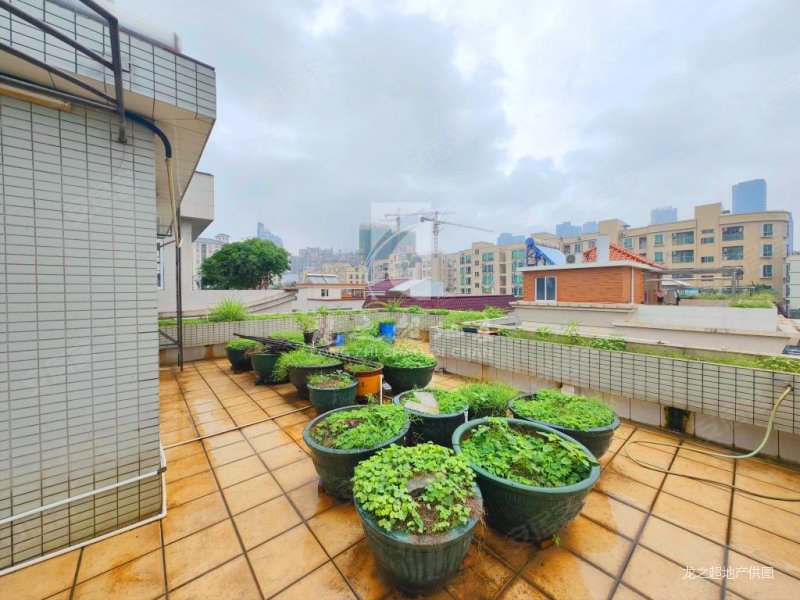 佛山房产网>佛山二手房>顺德二手房>大良东区二手房>愉景花园(别墅)>