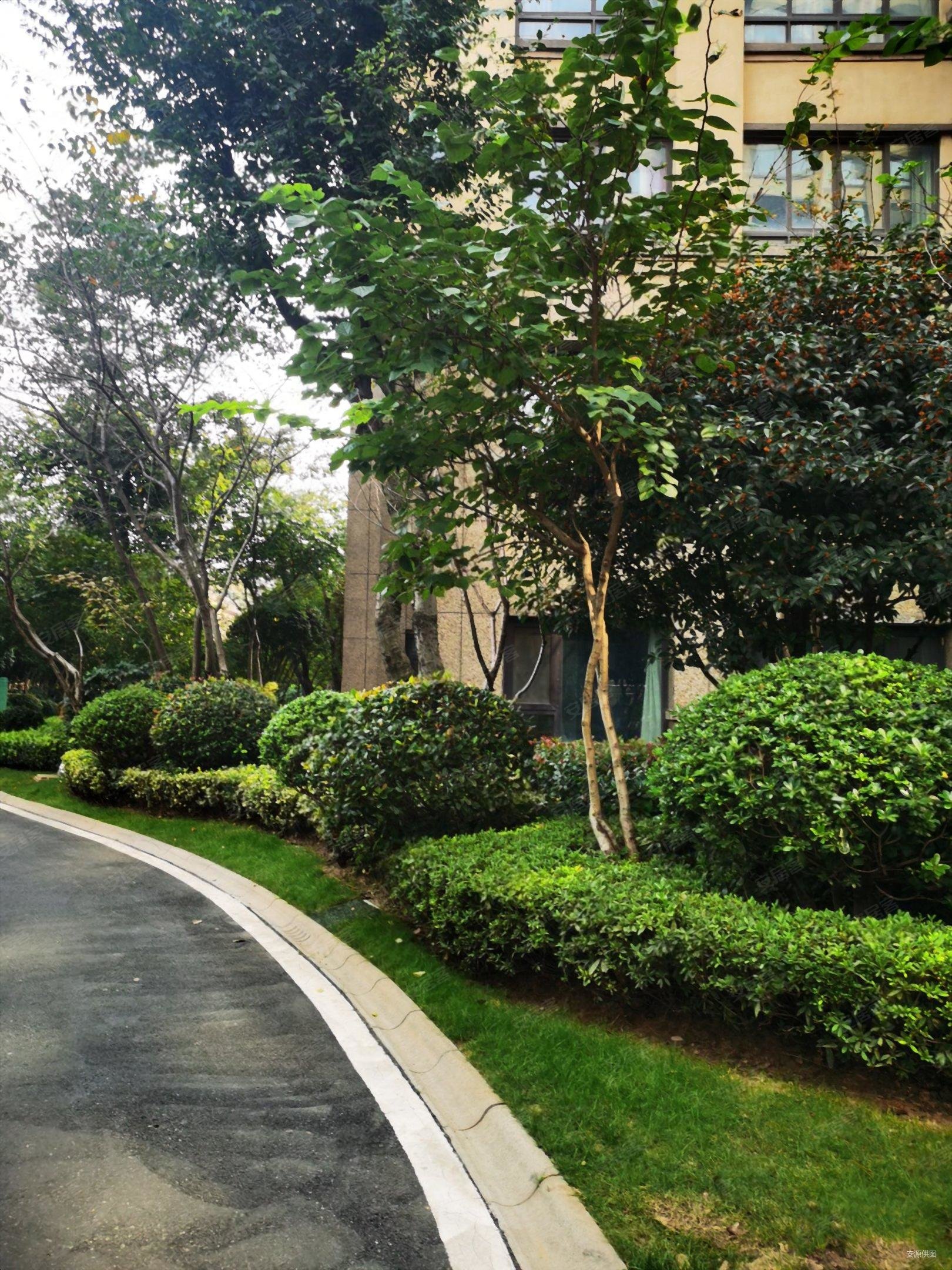 龙湖原山(别墅)5室2厅5卫228㎡南北1200万