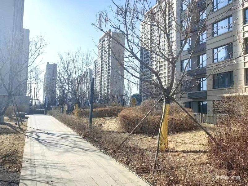 真心好房,真实在售,高楼层,视野好绿化率高,长春国际影都二手房,65万