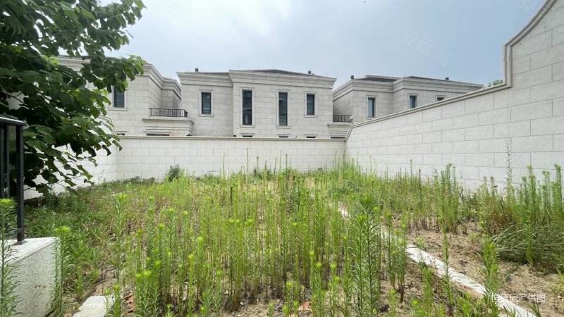 歌尔绿城联排别墅 带石墙南向大院子 独门独院 带室内电梯