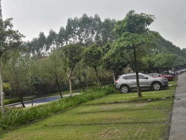 广州花都花山祈福都会祈福都会 2室2厅1卫 南北通透 80平 精装修出租