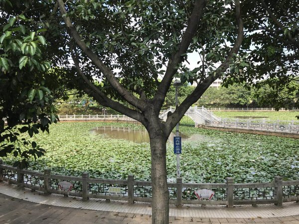 广州番禺新造谷围新邨(别墅)谷围新村别墅出租  设备齐全  看楼方便