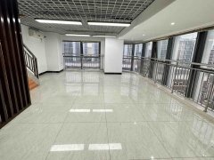 广州白云金沙洲星港城 1室2厅2卫 精装修 电梯房 76平出租房源真实图片