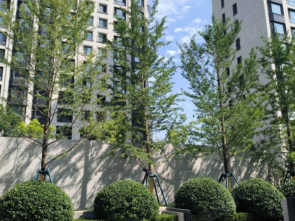 北京石景山古城长安九里(东区)长安九里精装现房南北通透人车分流出租