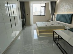 宁波宁海宁海大厦宁海桃源街道隔水洋附近全新精装公寓出租出租房源真实图片