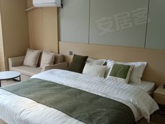 桐乡桐乡周边东兴商厦星火村单身公寓出租,大单间出租房源真实图片