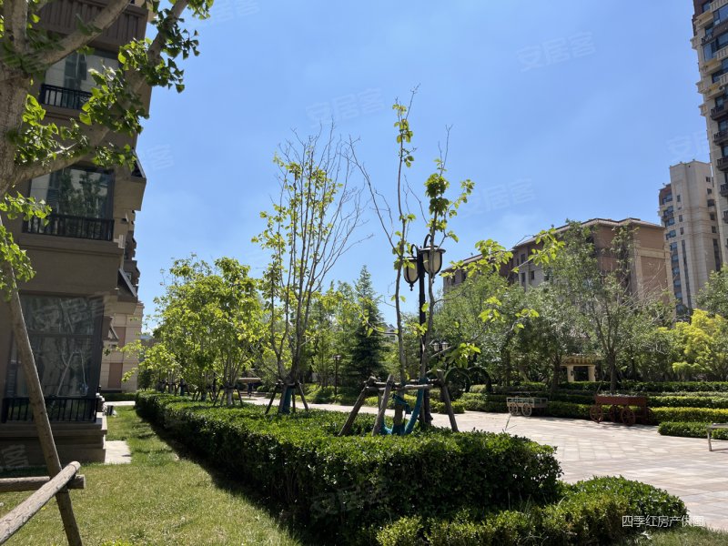 新都中小 恒大悦澜庭 新小区 精装修南向客厅 双卫