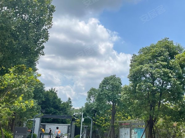 【多图】小新塘回迁房小区,小新塘租房,天河智慧城 广百广场 高塘网易