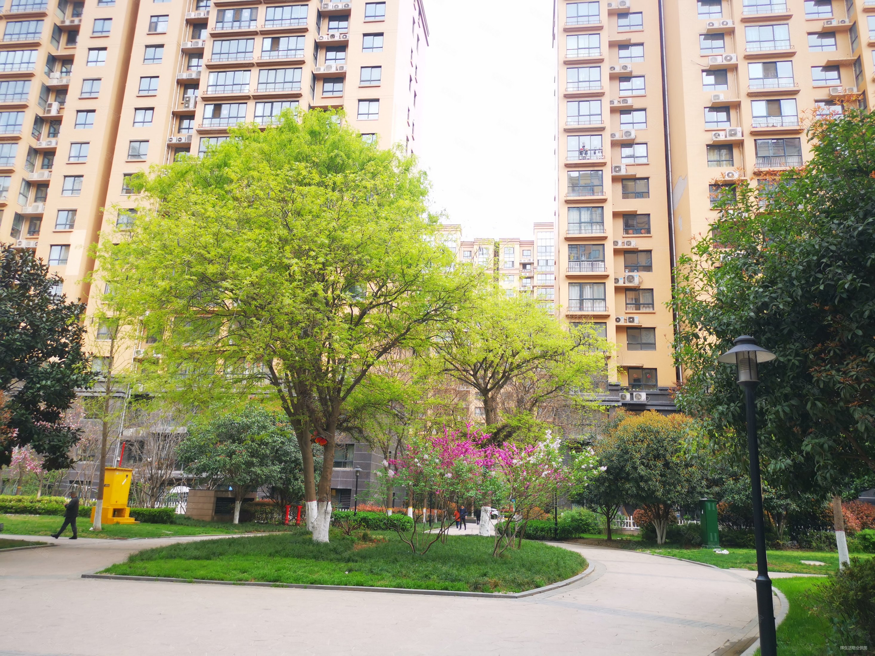 融侨馨苑(西区)3室1厅1卫88.59㎡东南192万