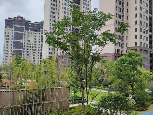 苏州常熟万达广场和风名筑真实有效,万达旁,和风名筑,127平大三房两卫