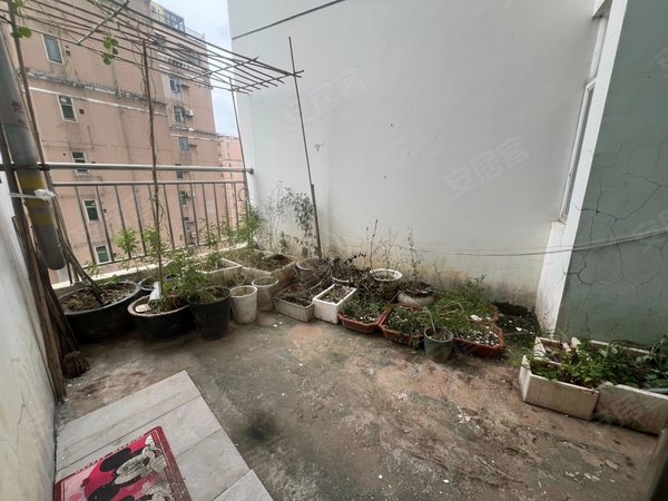 深圳罗湖翠竹旭飞华达园新上实拍!水贝商圈 带30平大露台!