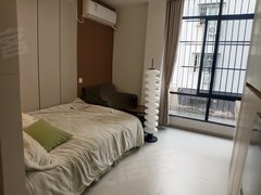 深圳宝安沙井(整租)新桥新二村 品牌公寓 精装修 电梯房 首月免租出租房源真实图片