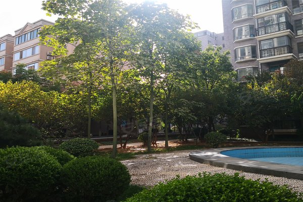 大舜天成,山大路236号-济南大舜天成二手房,租房-济南安居客