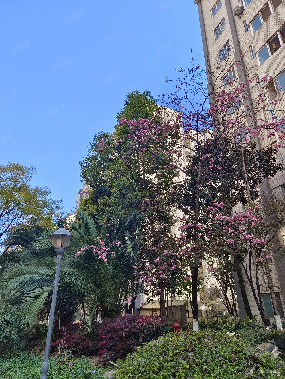 铁合金怡芳苑小区(二期)3室2厅1卫81㎡南北82万