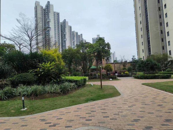 广州荔湾桥中花语水岸急租 花语水岸南向三房望江 坦尾地铁200米