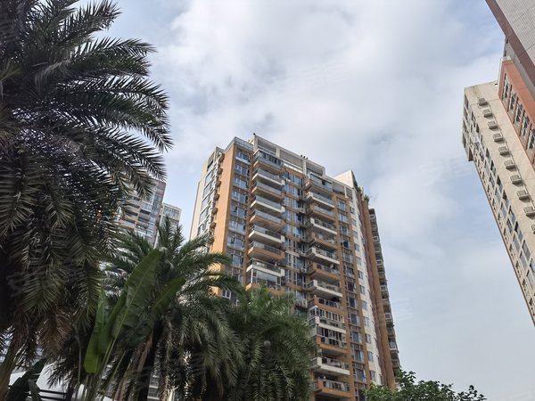 深圳南山后海阳光海滨花园房源采光好,南北通透,业主诚意出出租房源