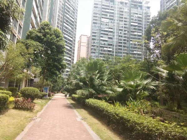 南宁西乡塘相思湖新区西建水岸华府相思湖2房水岸华府招租!