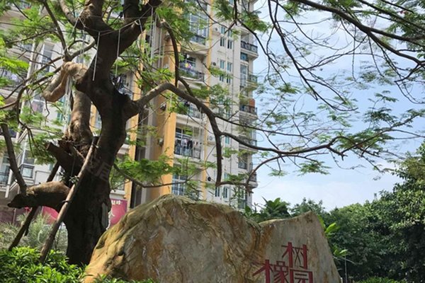 广州二手房 橡树园 > 李楚炯解读橡树园轨道交通