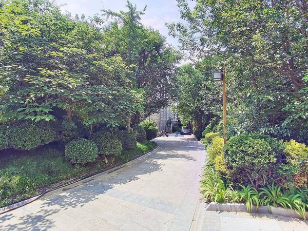 一阳g房 明卫 初次出租 江南府柏林郡出租房源真实图片