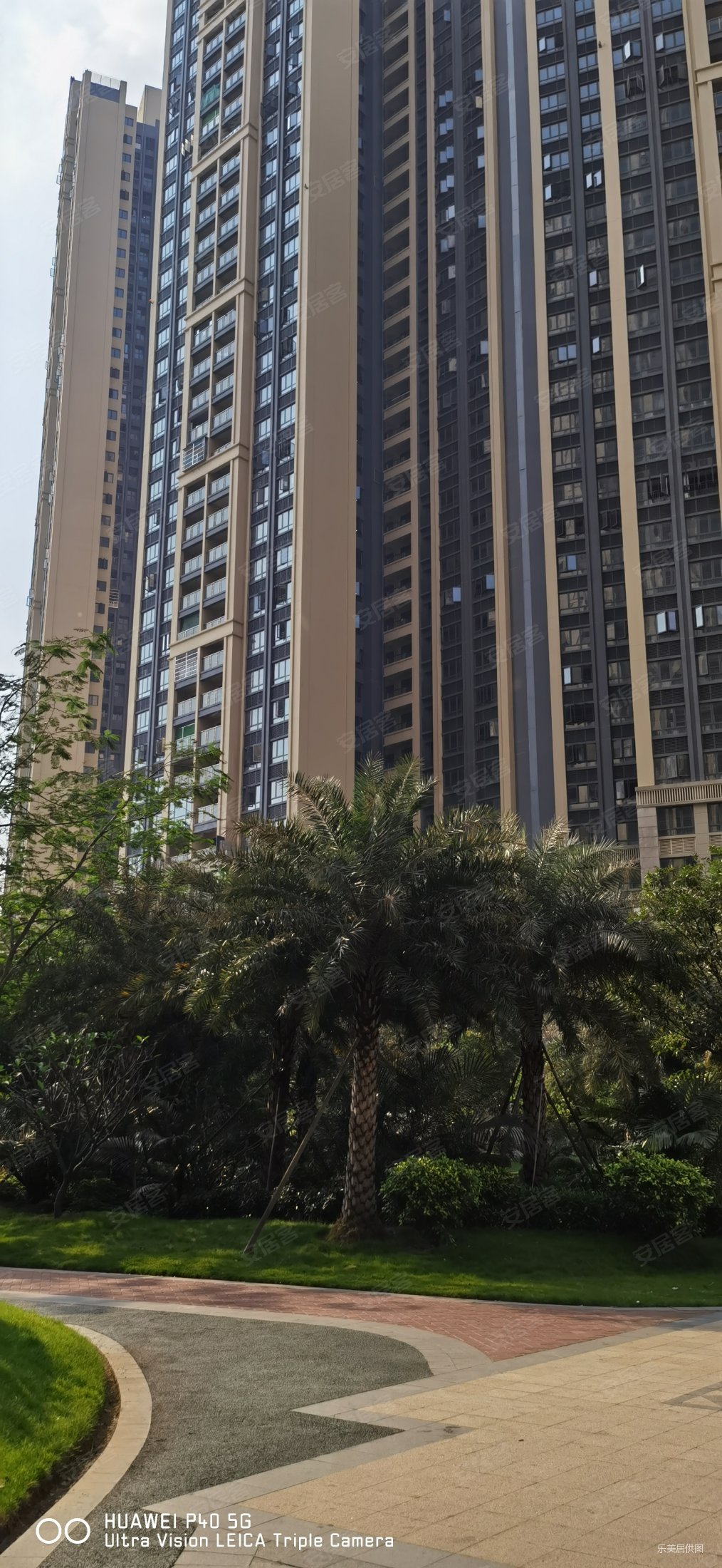 富丰君御免收费用住房南北通透诚心出售随时签约