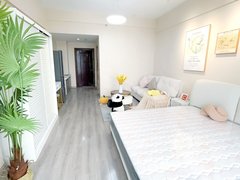 合肥新站火车站九龙财富公寓 电梯房 南北通透 家电齐全出租房源真实图片