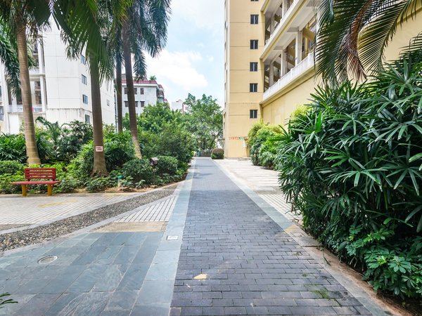 深圳龙华龙华青年城邦园(地铁站口)青年城邦园 1室1厅1卫 电梯房 精