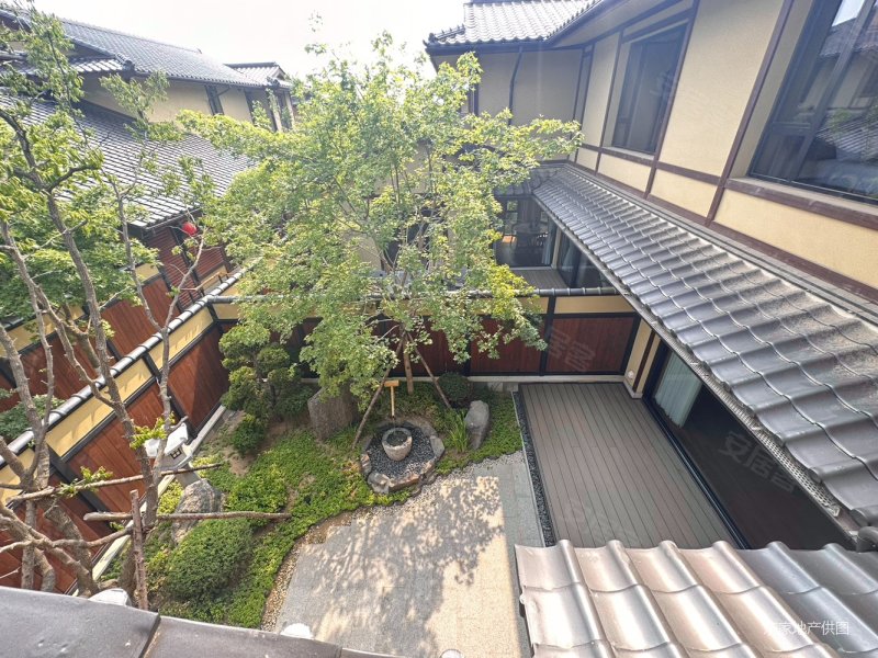 新上~高标准精装交付~温泉入户~日式独栋~联排~双拼~随时看