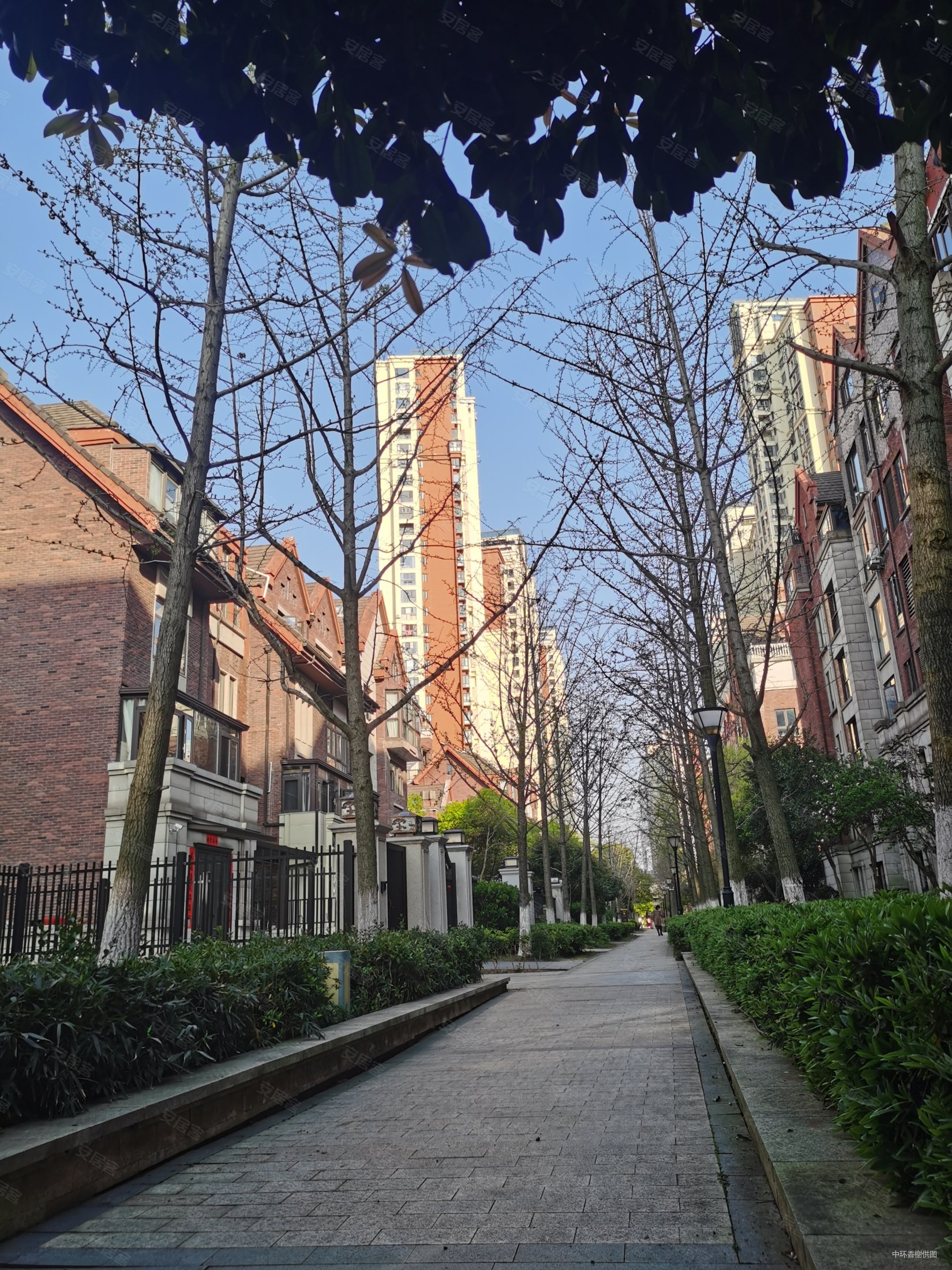 中央香榭独栋别墅已现浇上下5层卧室充满电走到客厅没电了