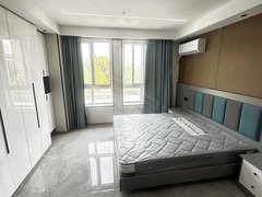 常州武进马杭可月付 现代化家具设计 房间干净整洁 精装公寓 随时看房出租房源真实图片