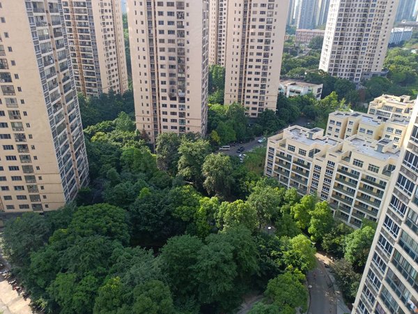 重庆巴南李家沱半山壹号(东区)半山壹号东区精装修两房诚心出租!